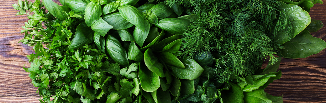 Various potted herbs on a counter.